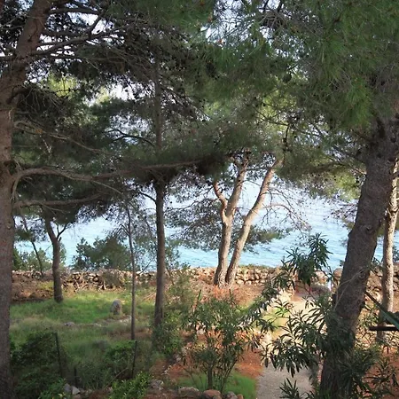 By The Sea Zavala, Hvar - 8774 公寓 耶尔萨